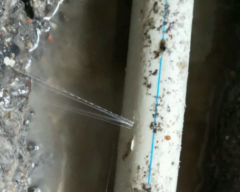 科尔沁左翼中卫生间测漏水多少钱